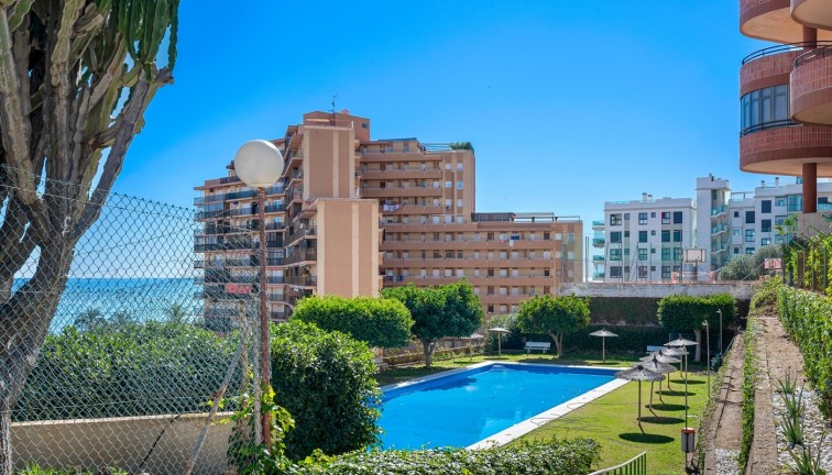 Resale - Apartment - Arenales del Sol - Segunda linea playa