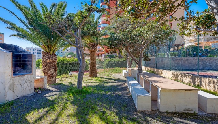 Resale - Apartment - Arenales del Sol - Segunda linea playa