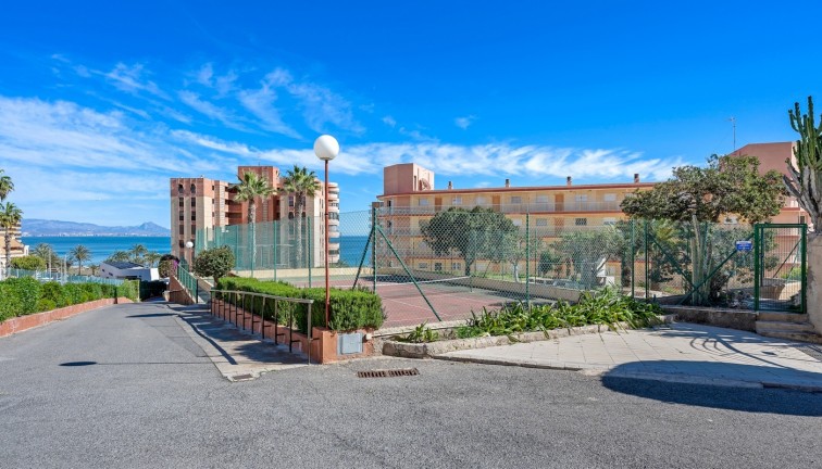 Resale - Apartment - Arenales del Sol - Segunda linea playa