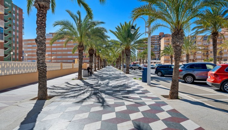 Resale - Apartment - Arenales del Sol - Segunda linea playa