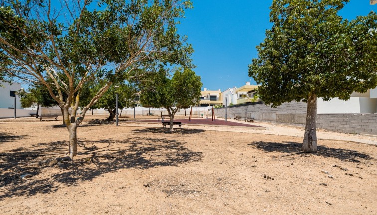 Reventa - Chalet - Los Montesinos - LOS MONTESINOS