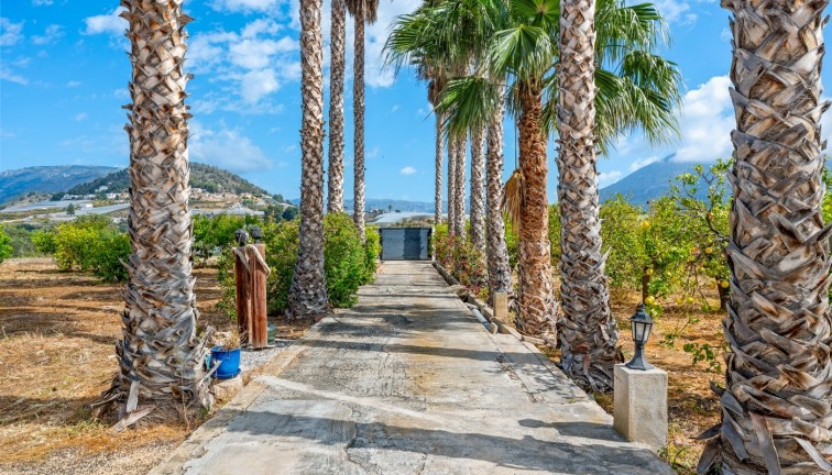 Reventa - Country estate - La Nucía