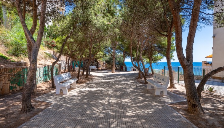 Jälleenmyynti - Asunto - Cabo Roig