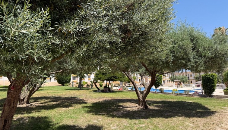 Reventa - Apartamento / piso - Orihuela Costa - Villamartín