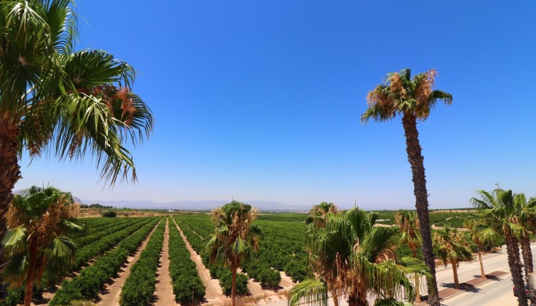 Resale - Semi-Detached - Algorfa - La Finca Golf