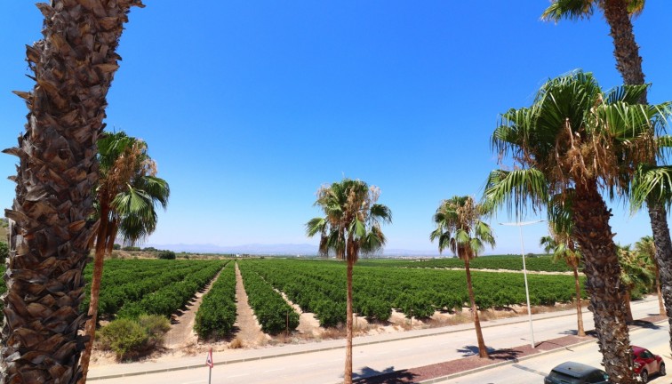 Resale - Semi-Detached - Algorfa - La Finca Golf