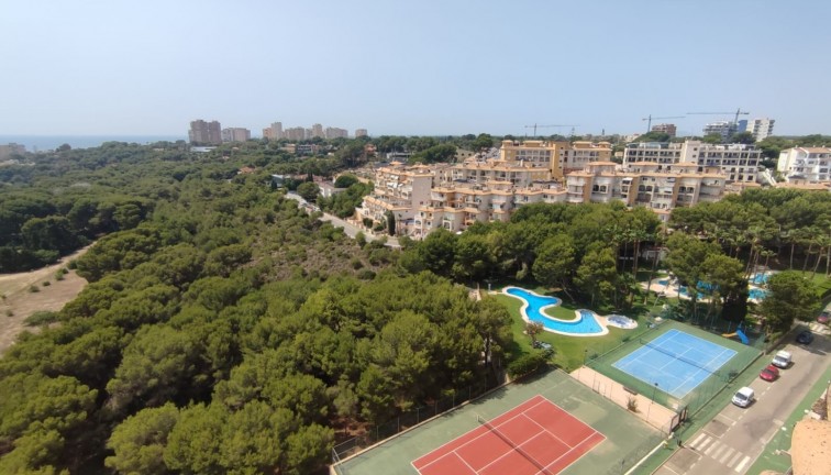 Resale - Apartment - Orihuela Costa - Campoamor