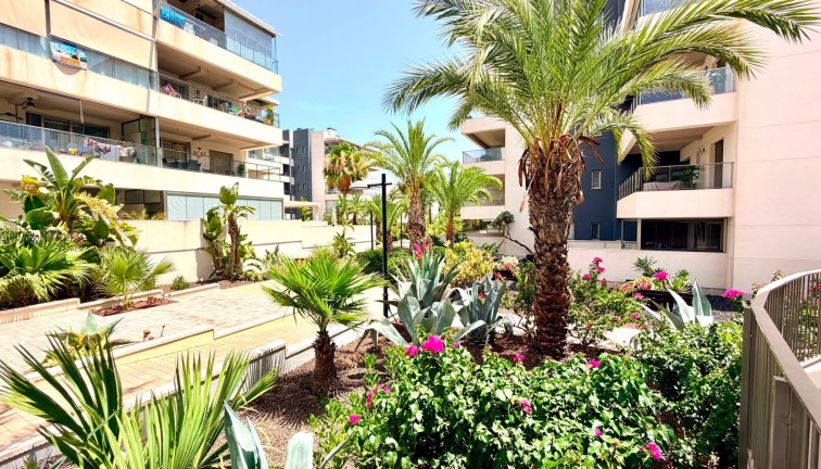 Resale - Apartment - Orihuela Costa - La Zenia