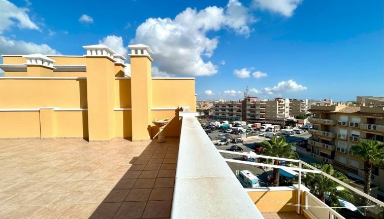 Reventa - Apartamento - Apartamento en el último piso - Dehesa de campoamor - Campoamor