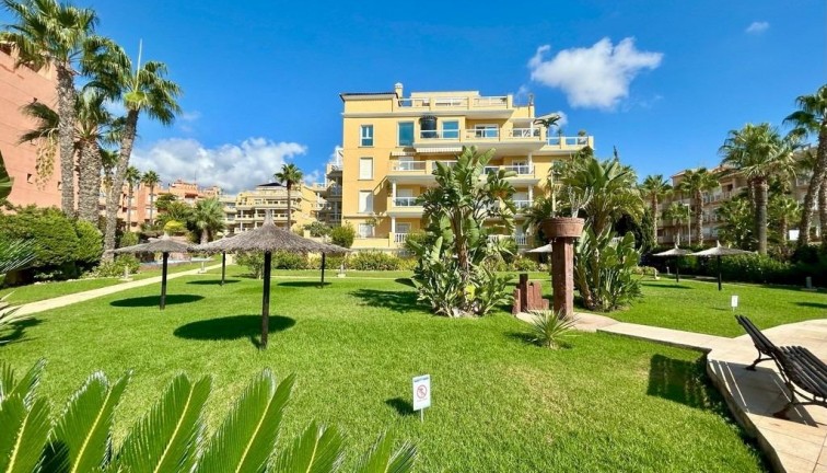 Reventa - Apartamento - Apartamento en el último piso - Dehesa de campoamor - Campoamor
