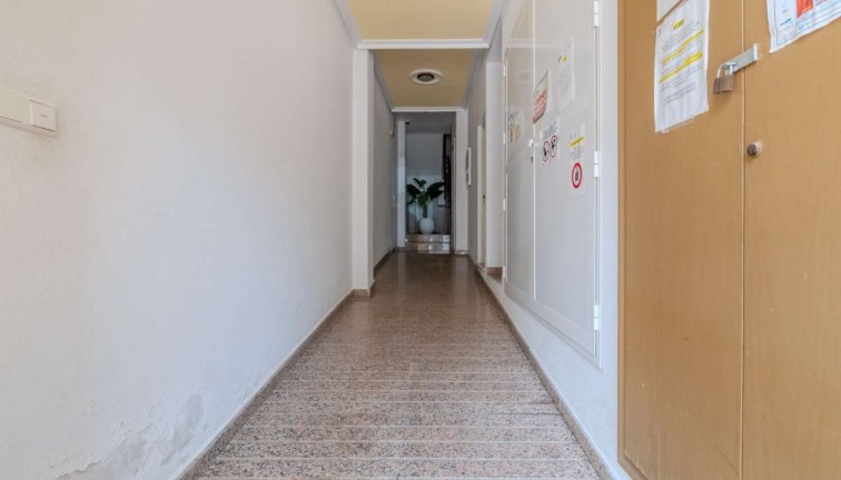 Reventa - Apartamento / piso - Torrevieja - El molino