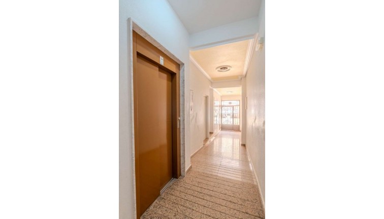 Reventa - Apartamento / piso - Torrevieja - El molino