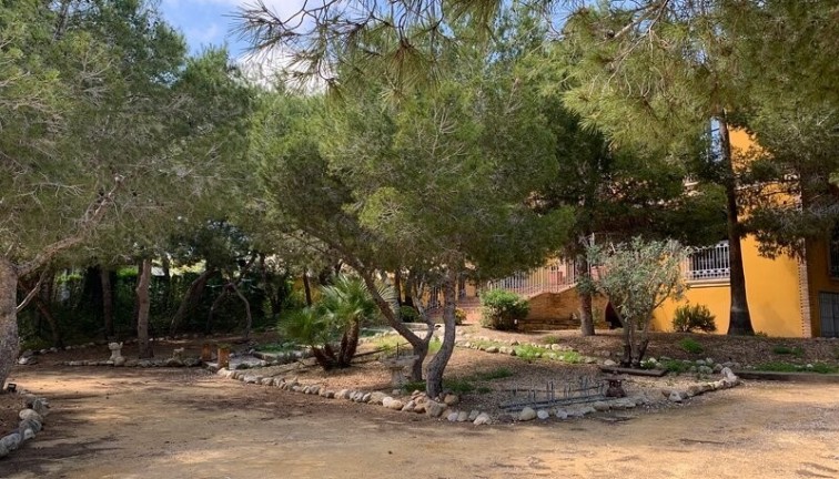 Reventa - Chalet - Rojales - Ciudad quesada