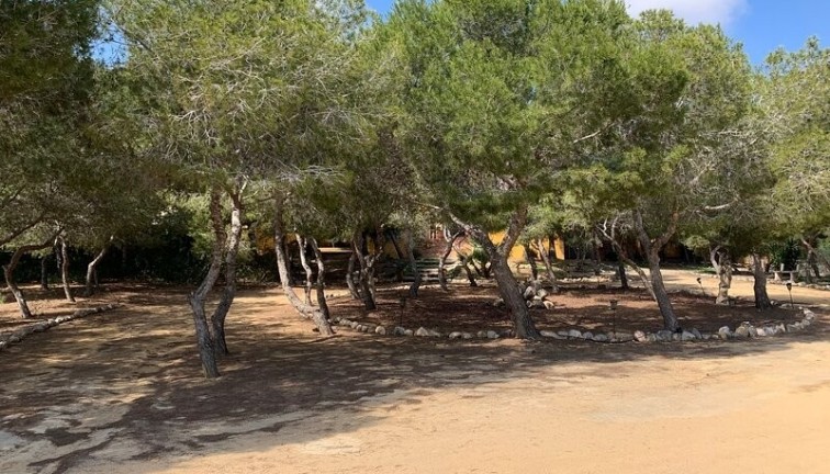 Reventa - Chalet - Rojales - Ciudad quesada