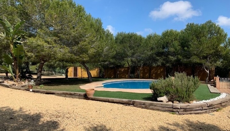 Reventa - Chalet - Rojales - Ciudad quesada