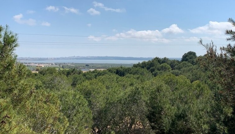 Reventa - Chalet - Rojales - Ciudad quesada