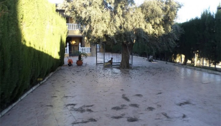 Återförsäljning - Fristående hus - Orihuela