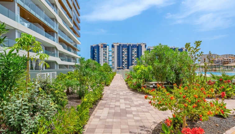 Reventa - Apartamento / piso - Orihuela Costa - Punta Prima