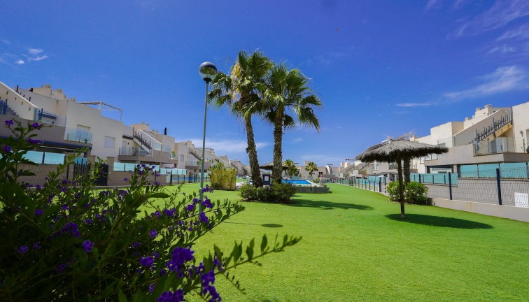 Reventa - Apartamento / piso - Torrevieja - Aguas Nuevas