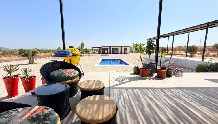 Resale - Chalet - Pinoso