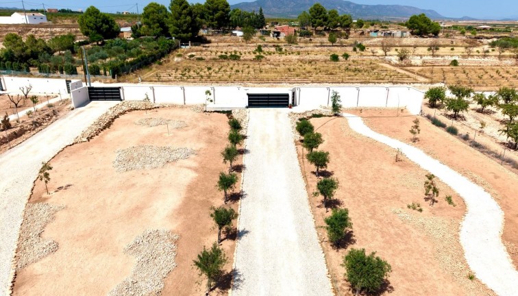 Resale - Chalet - Pinoso