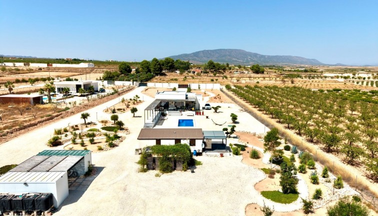 Resale - Chalet - Pinoso