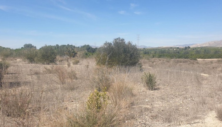 Resale - Plot - Benferri