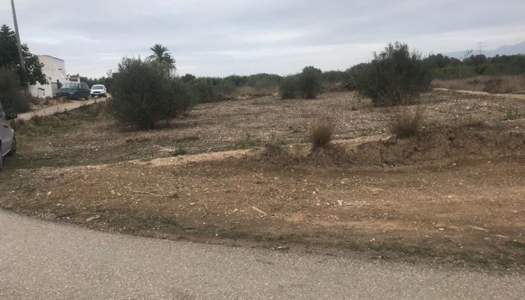 Resale - Plot - Benferri