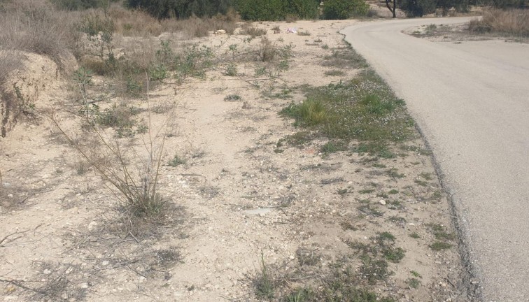 Resale - Plot - Benferri