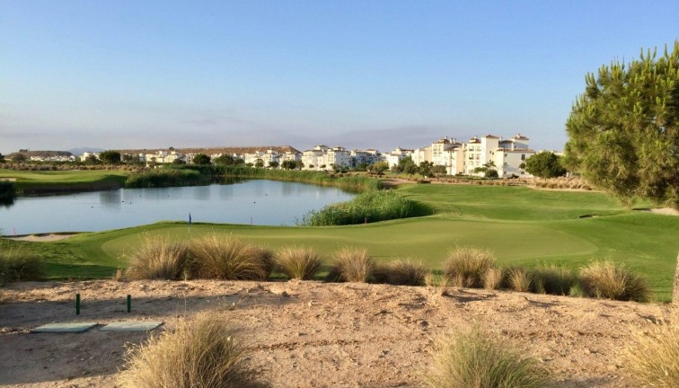 Resale - Apartment - Top Floor Apartment - Sucina - Hacienda riquelme