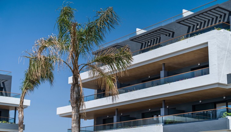 Uudistuotanto - Asunto - Torrevieja