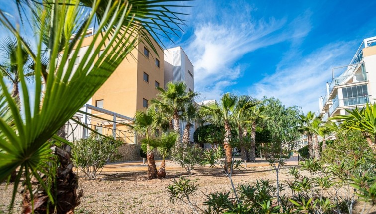 Jälleenmyynti - Asunto - Orihuela Costa - Los Dolses