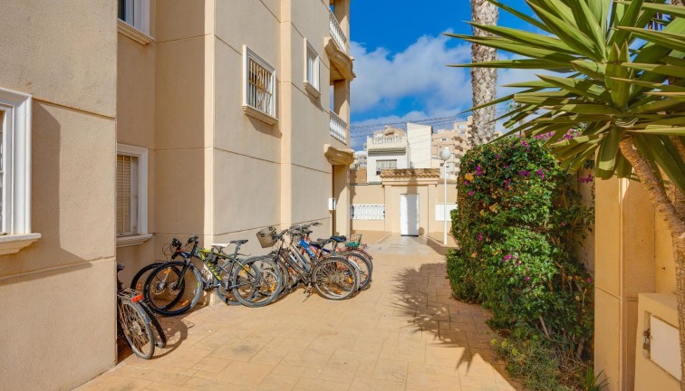 Jälleenmyynti - Asunto - Torrevieja - Nueva Torrevieja