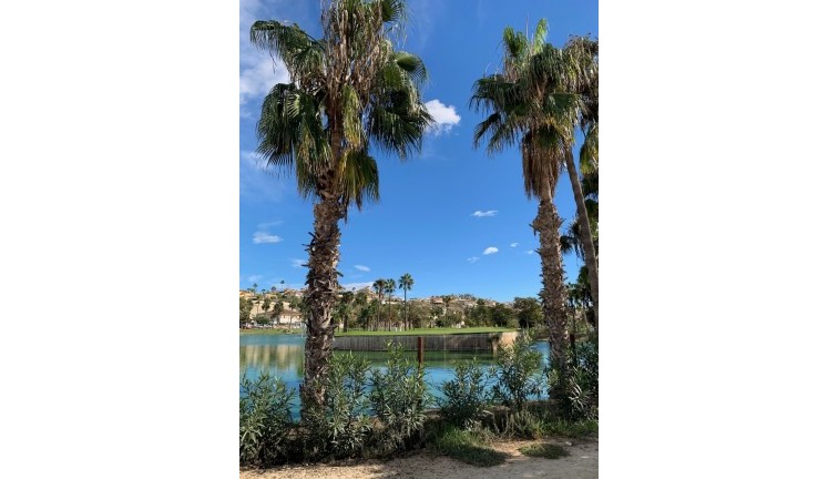 Jälleenmyynti - Erillistalo - Ciudad quesada - Rojales