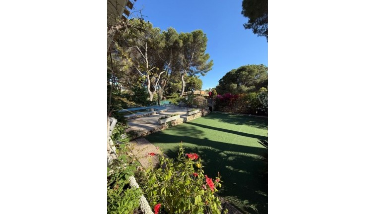 Återförsäljning - Fristående hus - Orihuela - Campoamor