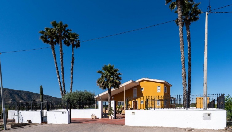 Reventa - Chalet - Orihuela - Correntías Medias