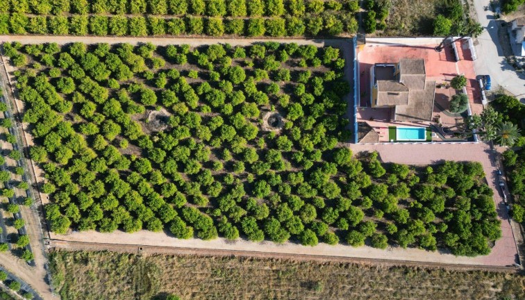 Reventa - Chalet - Orihuela - Correntías Medias