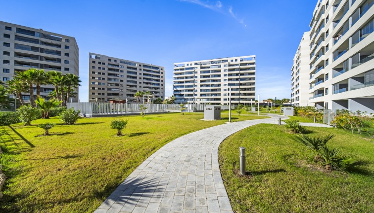 Reventa - Apartamento / piso - Torrevieja - Punta Prima
