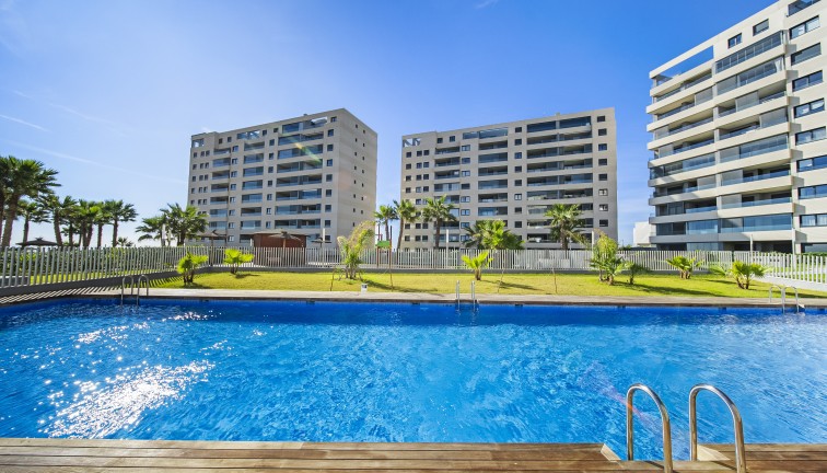 Reventa - Apartamento / piso - Torrevieja - Punta Prima