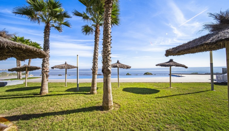 Reventa - Apartamento / piso - Torrevieja - Punta Prima