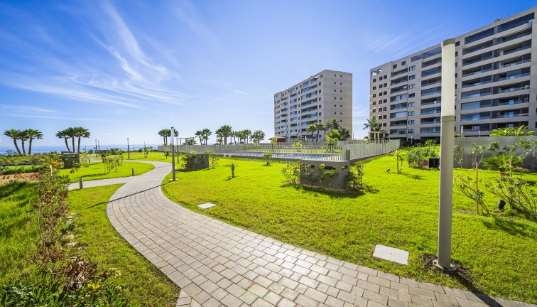 Reventa - Apartamento / piso - Torrevieja - Punta Prima