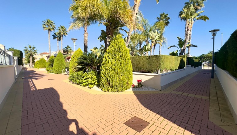 Jälleenmyynti - Asunto - Ylimmän kerroksen asunto - Orihuela Costa - Playa Flamenca