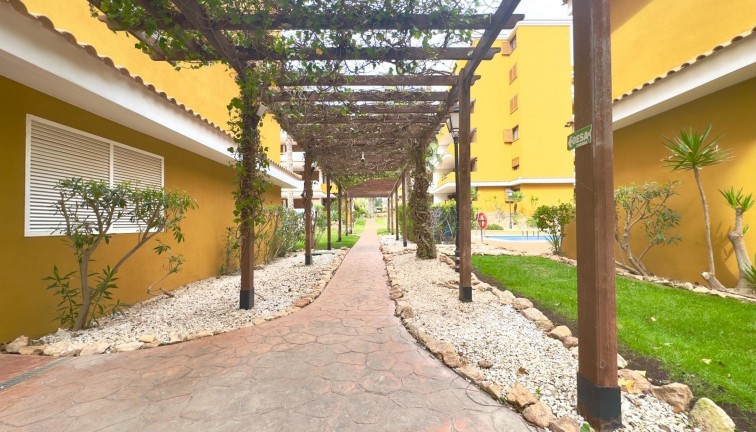 Återförsäljning - Lägenhet - Torrevieja - Punta Prima