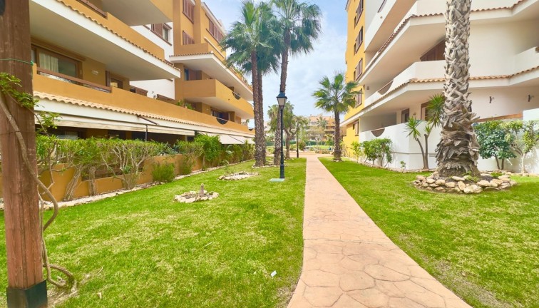 Återförsäljning - Lägenhet - Torrevieja - Punta Prima