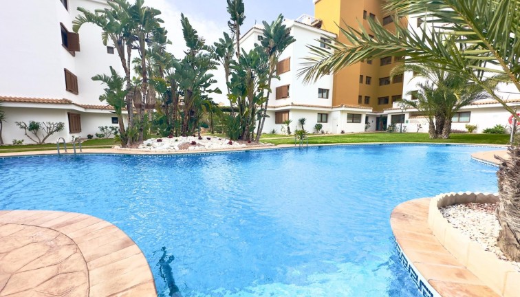 Återförsäljning - Lägenhet - Torrevieja - Punta Prima