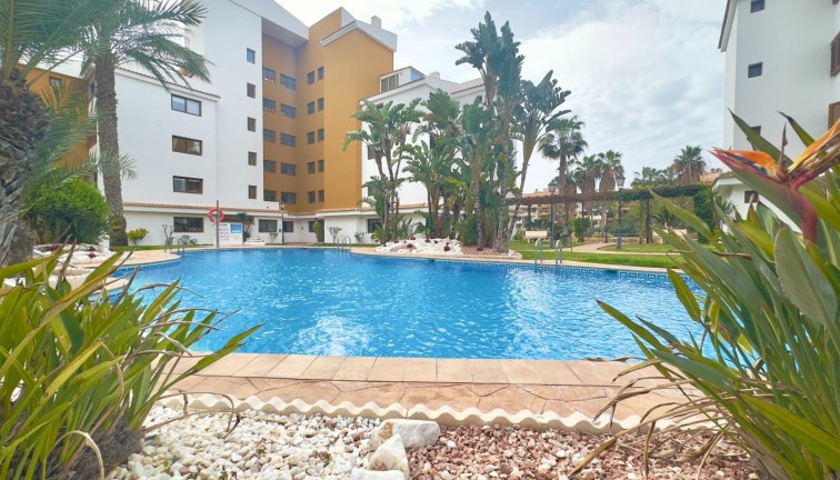 Återförsäljning - Lägenhet - Torrevieja - Punta Prima