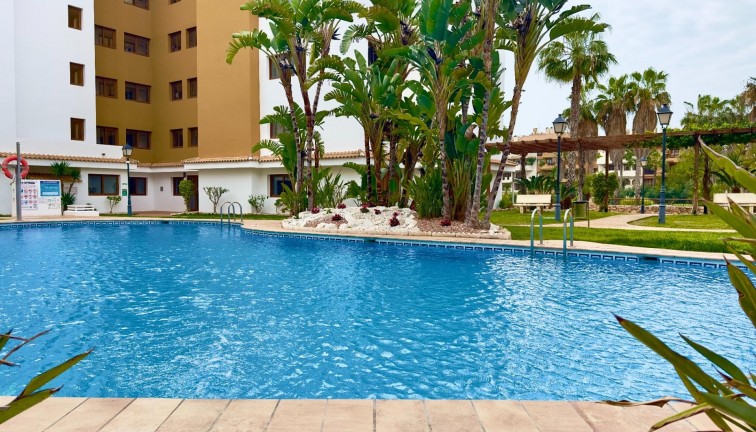 Återförsäljning - Lägenhet - Torrevieja - Punta Prima