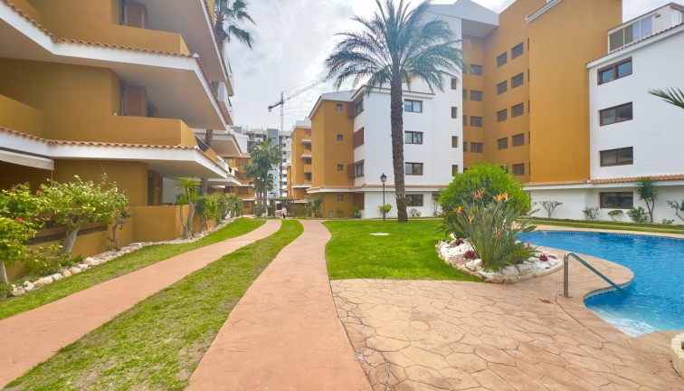 Återförsäljning - Lägenhet - Torrevieja - Punta Prima