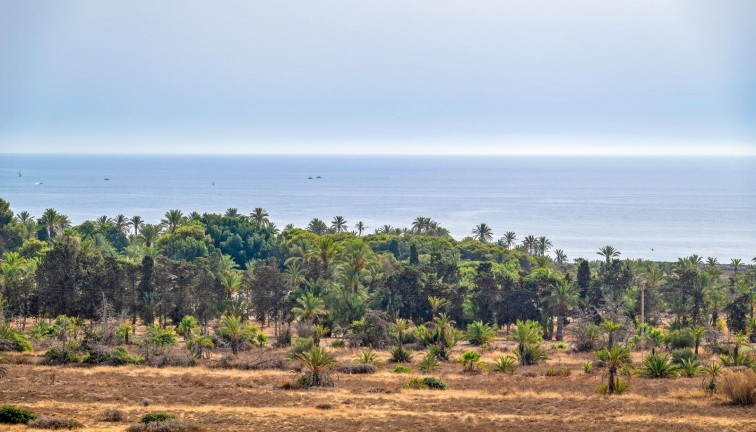 Jälleenmyynti - Asunto - Ylimmän kerroksen asunto - Torrevieja - Punta Prima