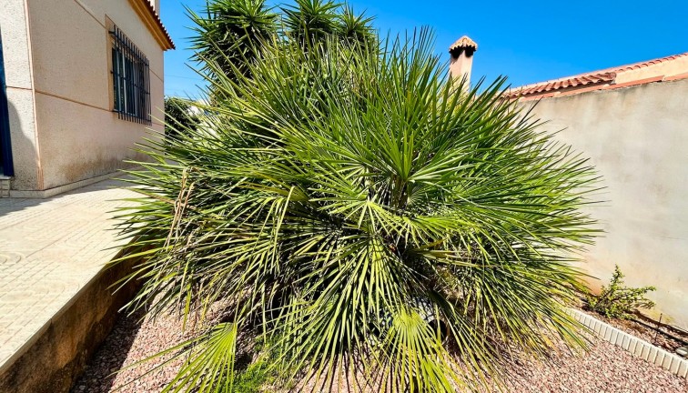 Resale - Chalet - Torrevieja - San Luis